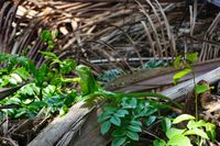 Tayrona Nationalpark